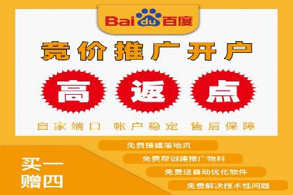 SEM推广策略：成功案例分享与启示